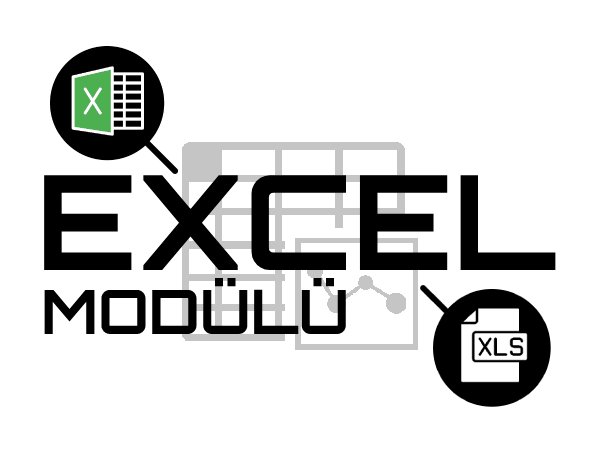 Excel modülü nedir?